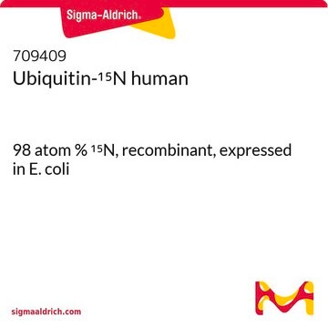 泛素-15N 人 98 atom % 15N, recombinant, expressed in E. coli