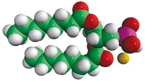 08:0 PA 1,2-dioctanoyl-sn-glycero-3-phosphate (sodium salt), chloroform