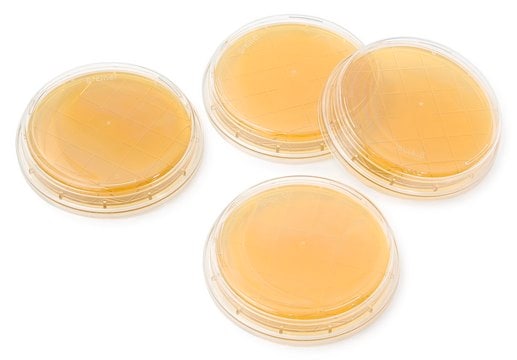 Tryptic Soy Agar TSA with Lecithin, Tween&#174;, Histidine and Sodium thiosulfate - ICR Contact plate, irradiated, triple packed, for environmental monitoring (Isolator and Clean room)