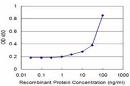 Monoclonal Anti-SCYE1 antibody produced in mouse clone 3H5, purified immunoglobulin, buffered aqueous solution