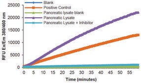 Chymotrypsin Activity Assay Kit sufficient for 100 fluorometric&nbsp;tests