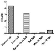 Alpaca Anti-Human IgG(Fcγ) Biotin single domain Antibody recombinant Alpaca(VHH) Nano antibody