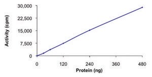IKK &#945; , active, GST tagged human PRECISIO&#174; Kinase, recombinant, expressed in baculovirus infected Sf9 cells, &#8805;70% (SDS-PAGE), buffered aqueous glycerol solution