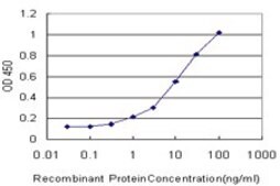 Monoclonal Anti-SLC1A2 antibody produced in mouse clone 4G8, purified immunoglobulin, buffered aqueous solution