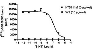 ChemiSCREEN Membrane Preparation Recombinant Human 5-HT6 Serotonin Receptor Human 5-HT6 GPCR membrane preparation for Radioligand binding Assays &amp; GTP&#947;S binding.