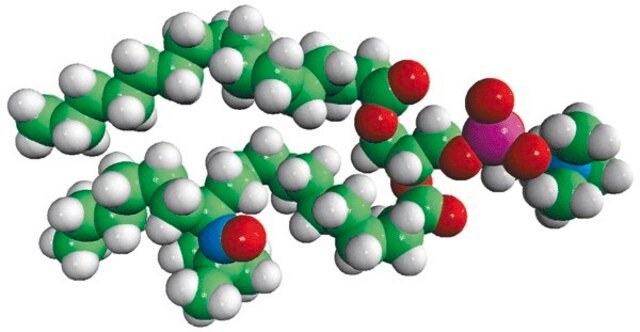 16:0-12 Doxyl PC Avanti Polar Lipids 810600P, powder