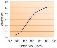 Anti-DGAT2 antibody produced in goat affinity isolated antibody, buffered aqueous solution