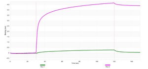 Anti-δ Tubulin Antibody, clone 1B20 ZooMAb® Rabbit Monoclonal recombinant, expressed in HEK 293 cells