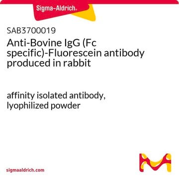 抗-牛 IgG (Fc 特异性)-荧光素 兔抗 affinity isolated antibody, lyophilized powder