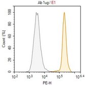 Anti-PVR/CD155 Antibody, clone SKII.4 ZooMAb® Mouse Monoclonal recombinant, expressed in HEK 293 cells