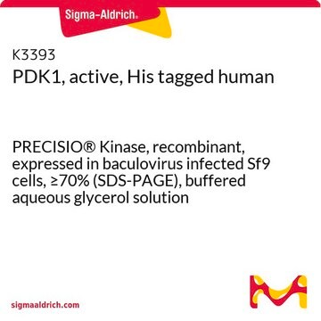 PDK1，活性，His 标记 人 PRECISIO&#174; Kinase, recombinant, expressed in baculovirus infected Sf9 cells, &#8805;70% (SDS-PAGE), buffered aqueous glycerol solution