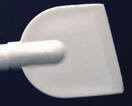 Scienceware® Cell Lifter polypropylene, pack of 10 ea, non-sterile