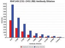 Anti-RNF149 (231-245) antibody produced in rabbit IgG fraction of antiserum, buffered aqueous solution