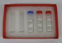 RNAse H Ultra-pure enzyme for nucleic acid modifications