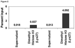 ChIPAb+ Dimethyl-Histone H3 (Lys27) - ChIP Validated Antibody and Primer Set, rabbit monoclonal culture supernatant, from rabbit