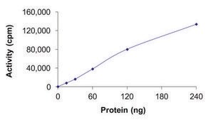 TRKA (G667C), Active PRECISIO® Kinase, recombinant