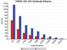 Anti-FMOD (36-50) antibody produced in rabbit IgG fraction of antiserum, buffered aqueous solution