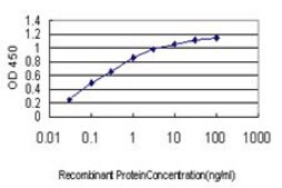 Monoclonal Anti-CDX4 antibody produced in mouse clone 2E11, purified immunoglobulin, buffered aqueous solution