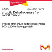 L-Lactic Dehydrogenase from rabbit muscle Type II, ammonium sulfate suspension, 800-1,200 units/mg protein