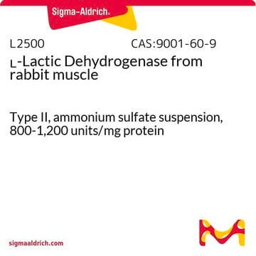 L-乳酸脱氢酶 来源于兔肌肉 Type II, ammonium sulfate suspension, 800-1,200&#160;units/mg protein