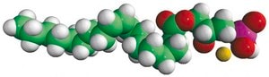 18:1 Lyso PA Avanti Research&#8482; - A Croda Brand