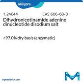 Dihydronicotinamide adenine dinucleotide disodium salt for biochemistry NADH-Na2