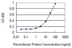 Monoclonal Anti-HNRNPU antibody produced in mouse clone 4G11, purified immunoglobulin, buffered aqueous solution