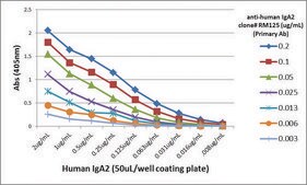 Anti-Human IgA2-Biotin antibody, Rabbit monoclonal recombinant, expressed in HEK 293 cells, clone RM125, purified immunoglobulin