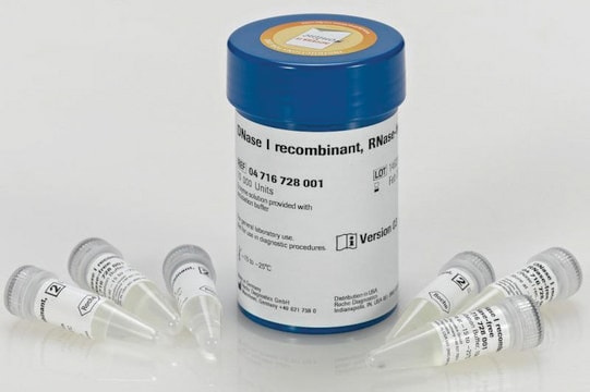 DNase I recombinant, RNase-free from bovine pancreas, expressed in Pichia pastoris
