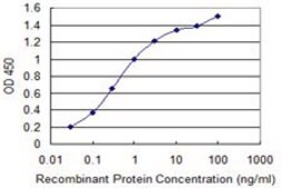 Monoclonal Anti-IL1F9 antibody produced in mouse clone 2A8, purified immunoglobulin, buffered aqueous solution
