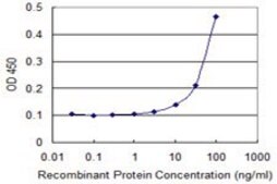ANTI-FOXC2 antibody produced in mouse clone 4A3, purified immunoglobulin, buffered aqueous solution