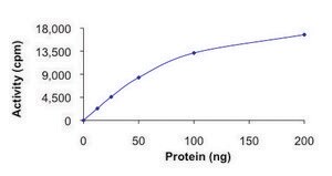 c-KIT (T670I), active, GST tagged human PRECISIO&#174;, recombinant, expressed in baculovirus infected Sf9 cells, &#8805;70% (SDS-PAGE), buffered aqueous glycerol solution