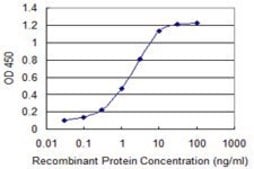 Monoclonal Anti-CIR antibody produced in mouse clone 2E11, purified immunoglobulin, buffered aqueous solution