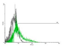 Anti-IL13RA2 antibody produced in mouse purified immunoglobulin, buffered aqueous solution