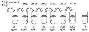 Human VEGF-D ELISA Kit for serum, plasma, cell culture supernatant and urine