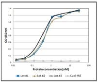 dCas9-3XFLAG™-生物素蛋白 from&nbsp;Streptococcus pyogenes with D10A and H840A mutations, recombinant, expressed in&nbsp;E. coli, 1X NLS