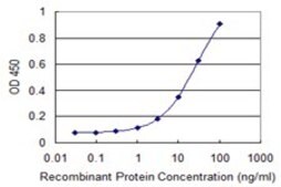 Monoclonal Anti-CDYL antibody produced in mouse clone 1A6, purified immunoglobulin, buffered aqueous solution