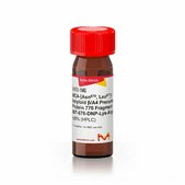 MCA-[Asn670, Leu671]-Amyloid β/A4 Precursor Protein 770 Fragment 667-676-DNP-Lys-Arg-Arg-NH2 ≥90% (HPLC)