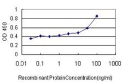 ANTI-TLR9 antibody produced in mouse clone 3B7, purified immunoglobulin, buffered aqueous solution
