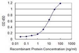 ANTI-PBK antibody produced in mouse clone 2D2, purified immunoglobulin, buffered aqueous solution