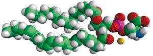 16:0-22:6 PS 1-palmitoyl-2-docosahexaenoyl-sn-glycero-3-phospho-L-serine (sodium salt), chloroform
