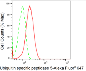 KD-Validated Anti Ubiquitin Specific Peptidase 5 Antibody, clone 24GB2480, Rabbit Monoclonal clone 24GB2480, recombinant rabbit monoclonal, expressed in HEK293 cells