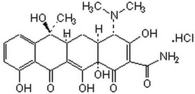 盐酸四环素 CAS 64-17-5 is a broad-based antibiotic agent that blocks protein synthesis by inhibiting binding of aminoacyl tRNA to the A-site of ribosomes. Induces cold shock-response and enhances P450 expression in bacteria.