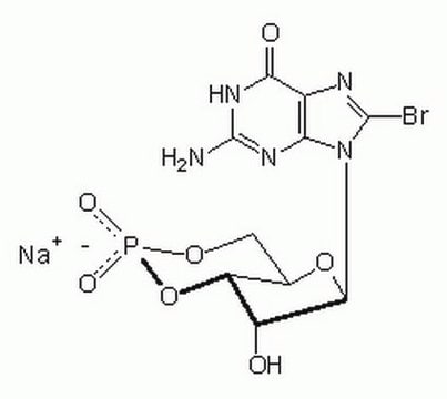 Guanosine 3&#8242;,5&#8242;-cyclic Monophosphate, 8-Bromo-, Sodium Salt Cell-permeable cGMP analog that is more resistant to phosphodiesterases than cGMP.