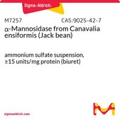 α-甘露糖苷酶 来源于洋刀豆 （刀豆） ammonium sulfate suspension, ≥15 units/mg protein (biuret)
