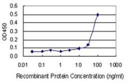 Monoclonal Anti-ADAMTS3 antibody produced in mouse clone 1H8, purified immunoglobulin