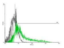 Anti-IL1R1 antibody produced in mouse purified immunoglobulin, buffered aqueous solution