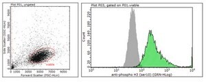 Anti-phospho-Histone H3 (Ser10) Antibody, clone 63-1C-8, Recombinant clone 63-1C-8, from rabbit