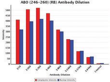 Anti-ABO (246-260) antibody produced in rabbit IgG fraction of antiserum, buffered aqueous solution