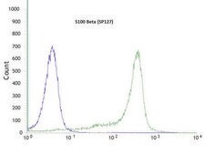 Anti-S100 Beta antibody, Rabbit monoclonal clone SP127, recombinant, expressed in proprietary host, affinity isolated antibody